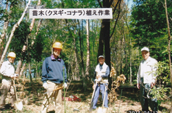 クヌギ・コナラの苗木植え