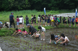 田んぼ周辺の草刈り活動