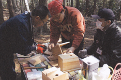 小鳥の巣箱作りに励む