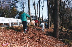 里山整備活動