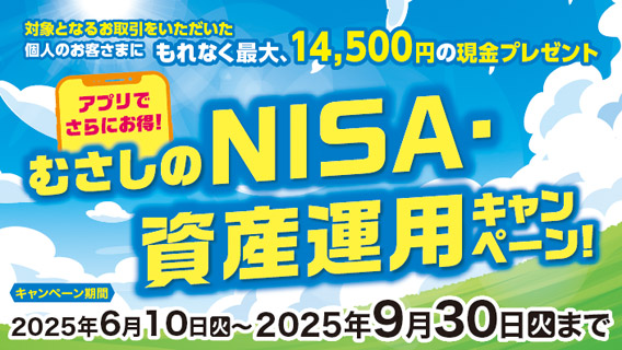 ނNISAEY^pLy[