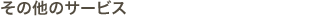 ̑̃T[rX