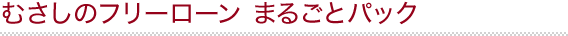 ނ̃t[[ ܂邲ƃpbN