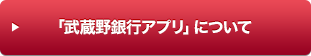 usAvvɂ