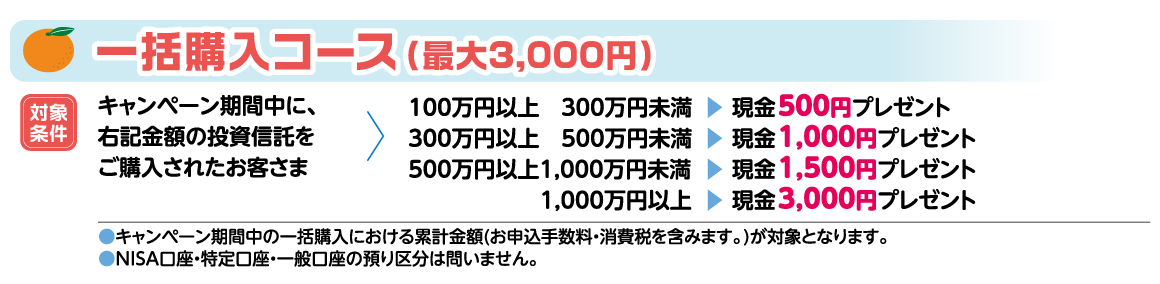 一括購入コース(最大3,000円)