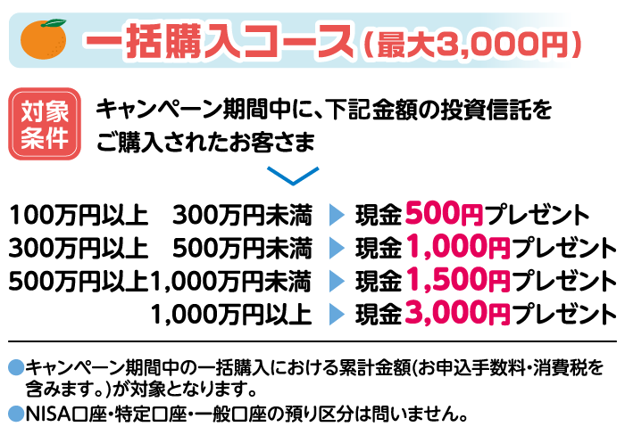 一括購入コース(最大3,000円)