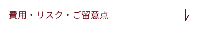 費用・リスク・ご留意事項