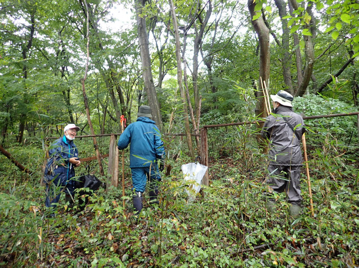 NPO法人 埼玉県絶滅危惧植物種調査団：寄居町での植物調査の様子