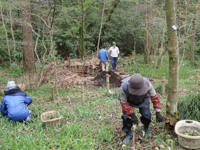 智光山・野草園の会：手前は除草、奥は堆肥の作業中