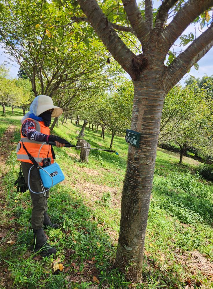 荒川グリーングリン：植樹と草刈り、害虫駆除活動